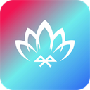播放器大全